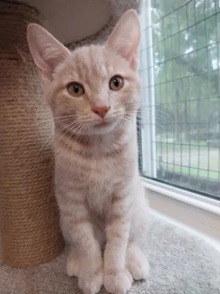 Xanthe * IN FOSTER *