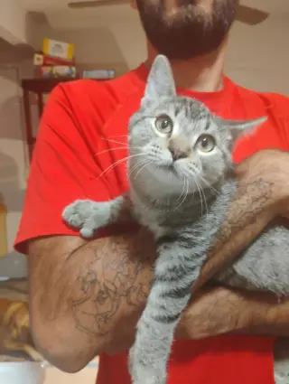 Berri aka Bear ( Kat)