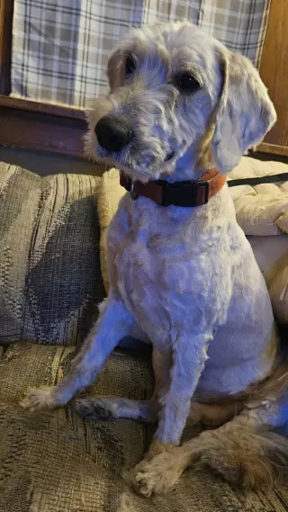 Romeo
