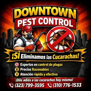 🪳 DOWNTOWN PEST CONTROL 🪳