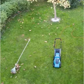 Expertos en Lawn Care