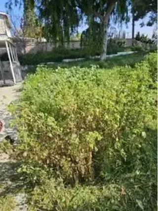 JARDINERÍA EN GENERAL