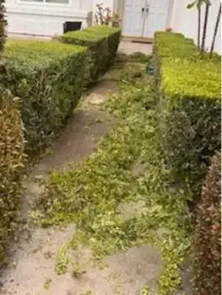 JARDINERÍA EN GENERAL