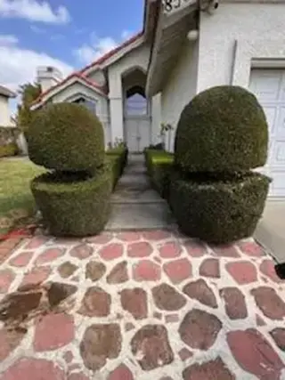 JARDINERÍA EN GENERAL