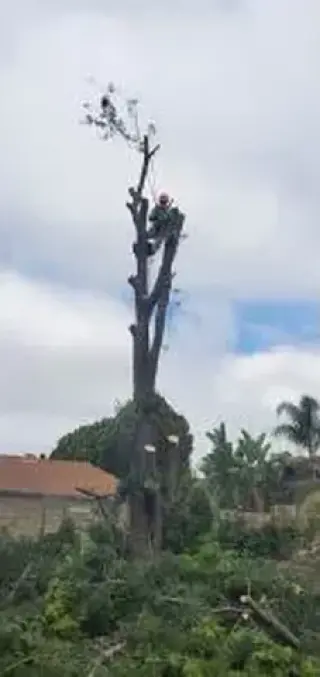 JARDINERÍA EN GENERAL
