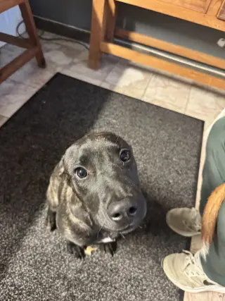 Charlie
