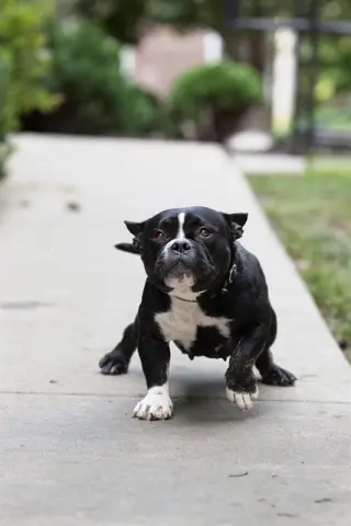 ROZ