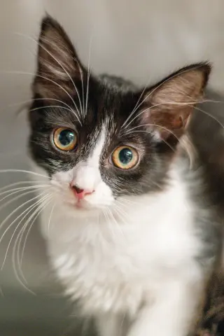 Lena