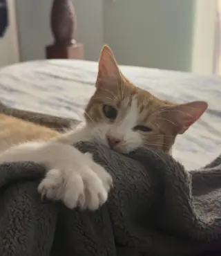 Sookie