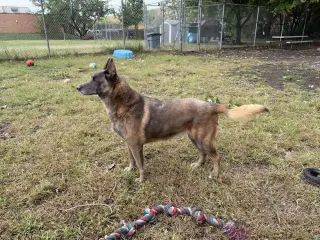 Mabel located in NC