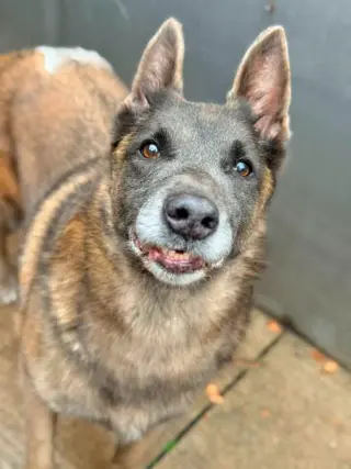 Mabel located in NC