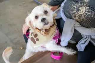 Chiquita