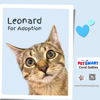 Leonard