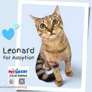 Leonard