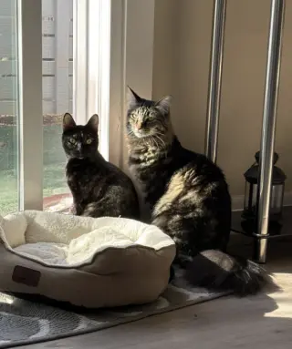 Spooky & Spider (Courtesy Post)