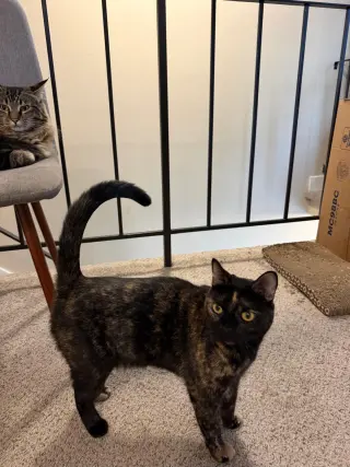 Spooky & Spider (Courtesy Post)
