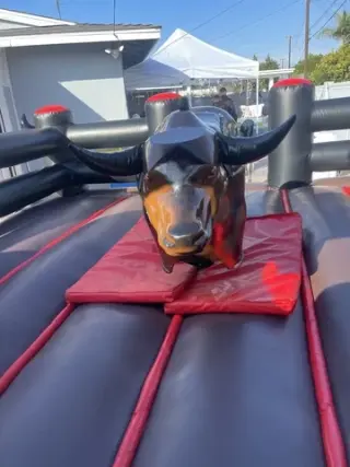 Mechanical bulls available