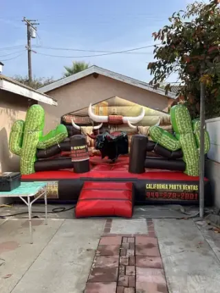 Mechanical bulls available