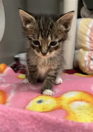 LUNA