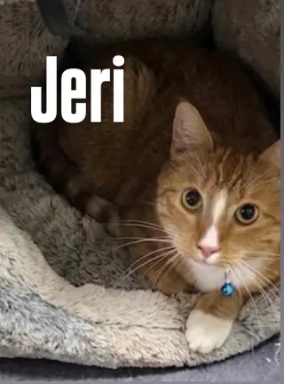 Jeri