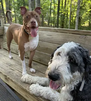 Maggie