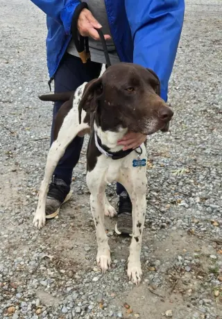 Rusty: At shelter available 10/4