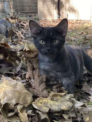 Seymour
