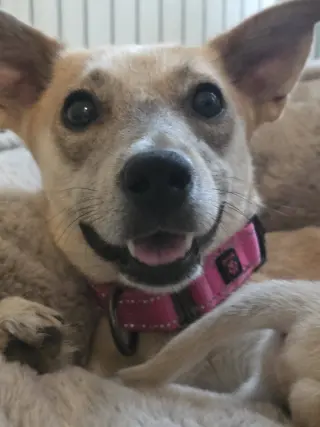 Willow Mae