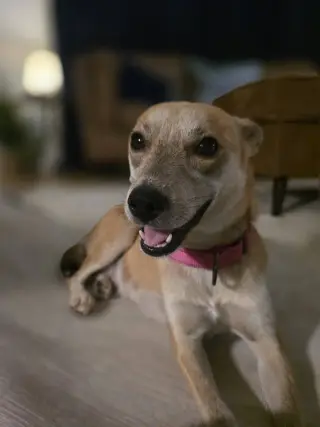 Willow Mae