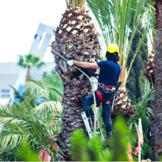 Expertos en Jardinería