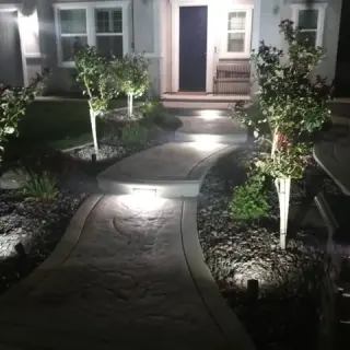 Expertos en Jardinería