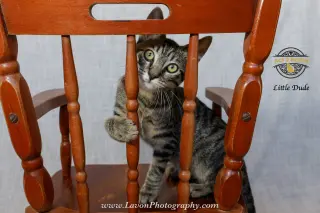 Little Dude 2