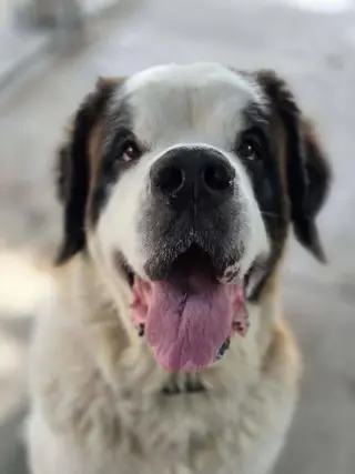 Zoey