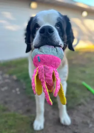Zoey