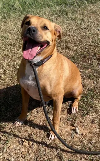 Betty