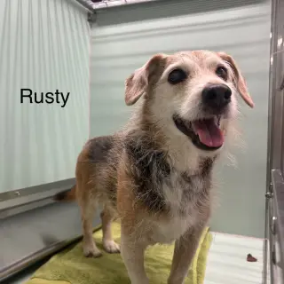 Rusty