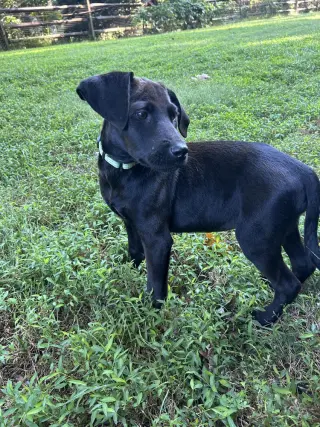 Winnie