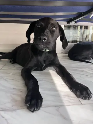 Winnie