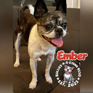Ember