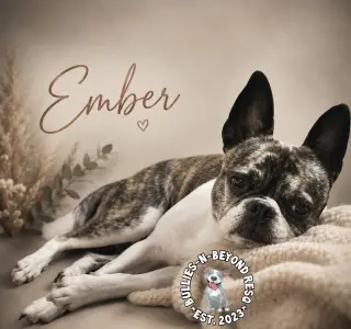 Ember