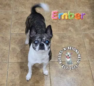 Ember