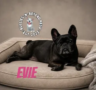 Evie