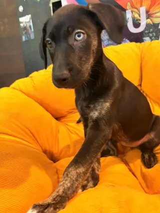Logan