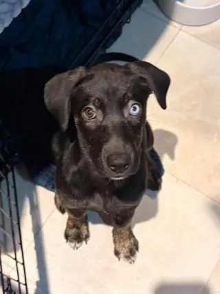 Logan