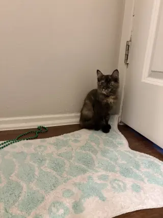 Archie