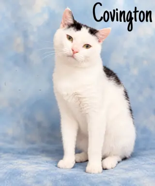 Covington (FCID# 08/11/2026 - 150) Willow Grove