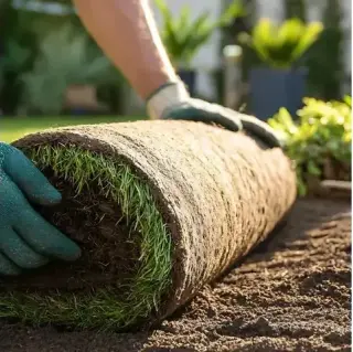 Landscaping Profesional