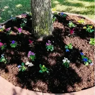 Landscaping Profesional
