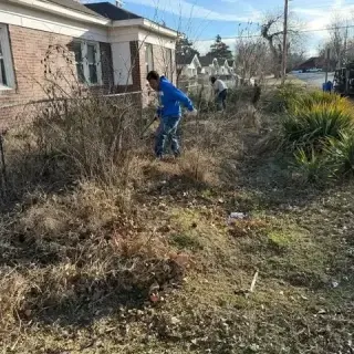 Landscaping Profesional