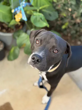 Zeus